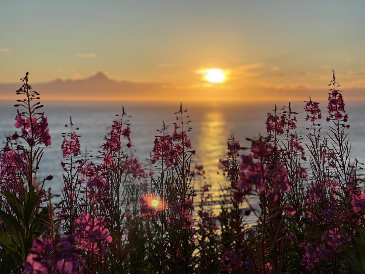 Lost Anchor - Ocean-view On The Bluff *